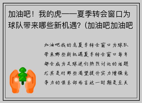加油吧！我的虎——夏季转会窗口为球队带来哪些新机遇？(加油吧加油吧我们加油吧)