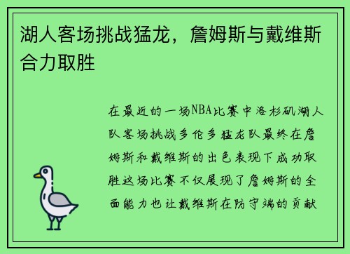 湖人客场挑战猛龙，詹姆斯与戴维斯合力取胜